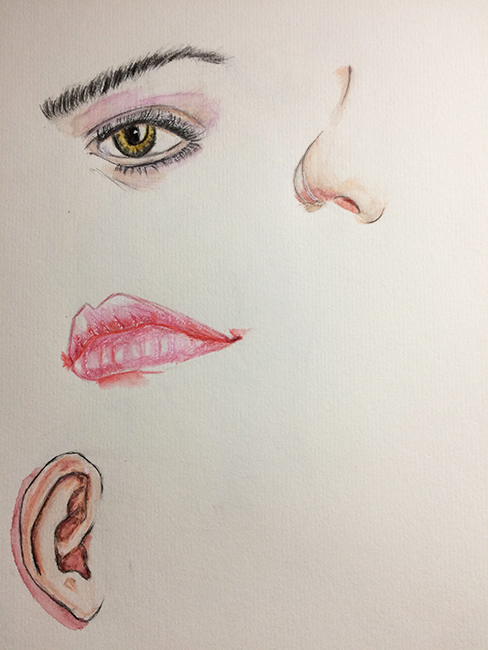 drawing nose,painting绘画