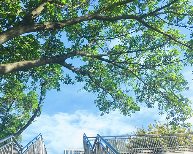 Summer夏天