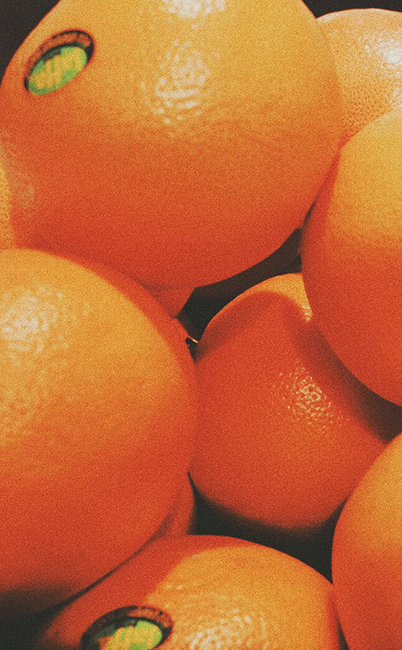 365日生活摄影