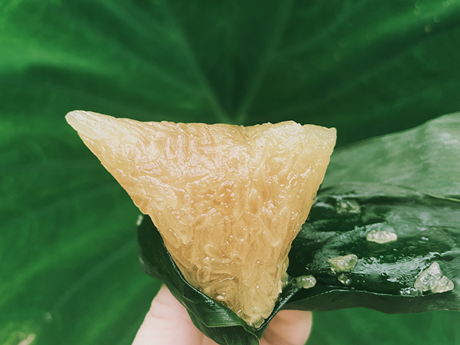 夏天 摄影 拍照 日常生活 日常记录