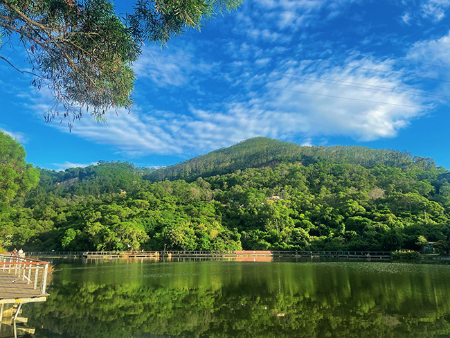 厦门 旅行 手机摄影 iphone 摄影 365天摄影计划 审美积累 手机壁纸 调色 摄影日常