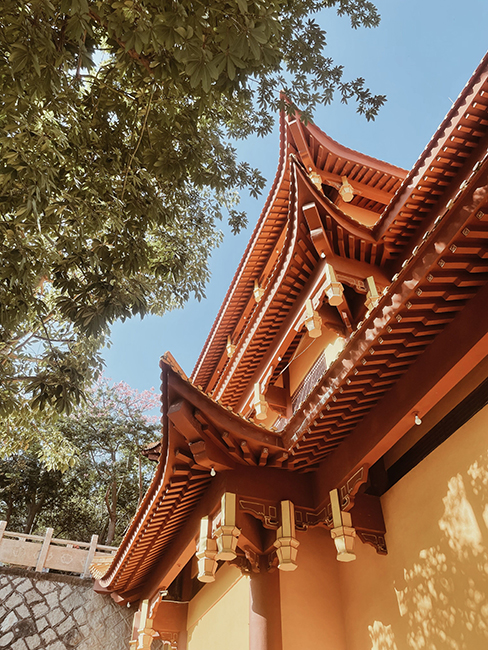 365日审美 旅行 旅游 