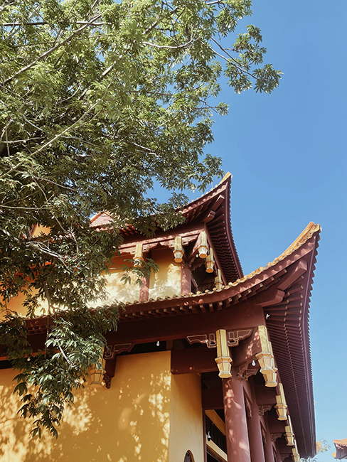 365日审美 旅行 旅游 