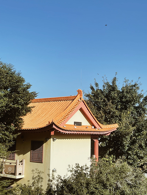 365日审美 旅行 旅游 