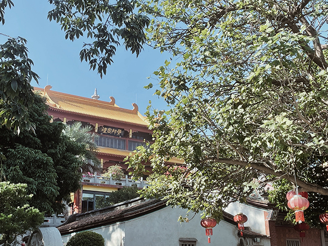 365日审美 旅行 旅游 