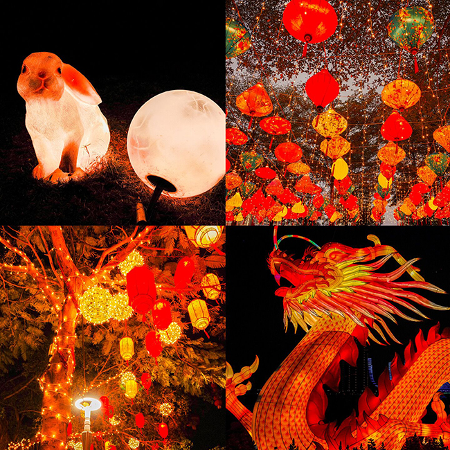 年味扫街；龙年皮肤 ；这波年味拿捏了 ；我镜头下的年味 