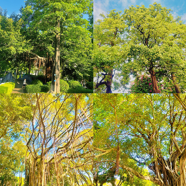 xiamen photos,travel,visit