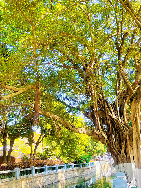 xiamen photos,travel,visit